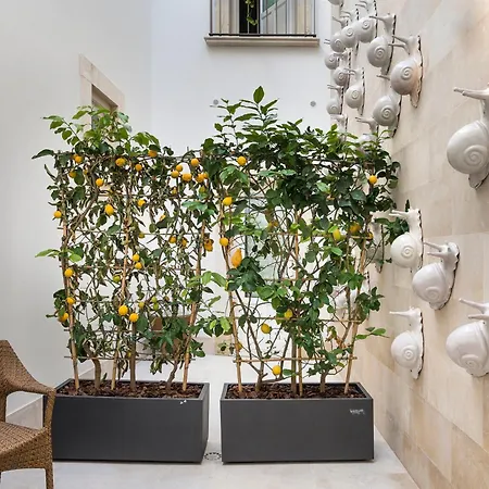 Maniace Boutique Ortigia | Esperienze 4*
